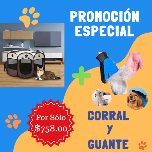 PETFLEX - Oferta UP