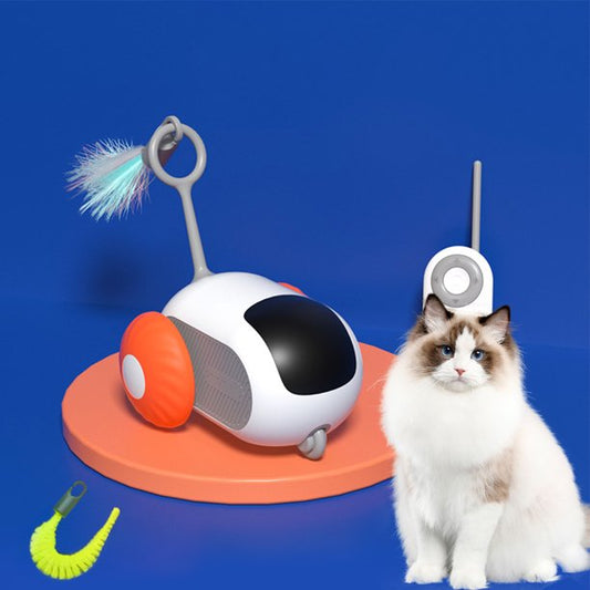 CatSpin