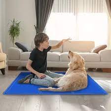 FreshPet